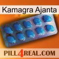 Kamagra Ajanta viagra1